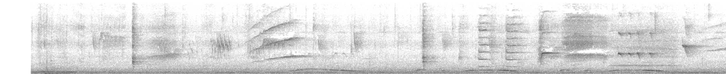holub neotropický - ML189942591
