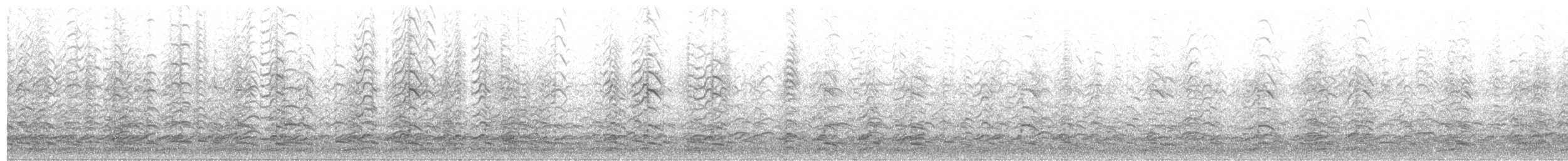 Zwergkanadagans (leucopareia) - ML189994021