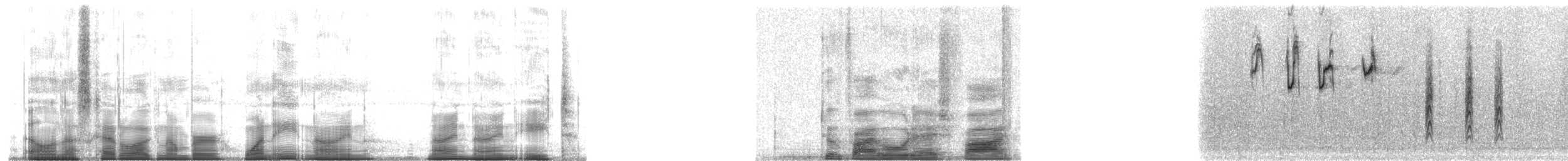 Cuban Gnatcatcher - ML189998