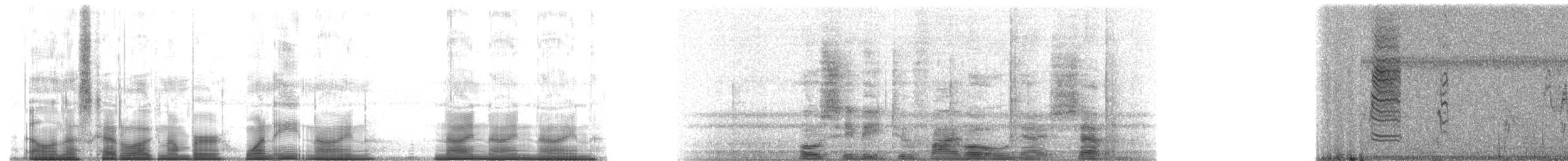 Cuban Gnatcatcher - ML189999