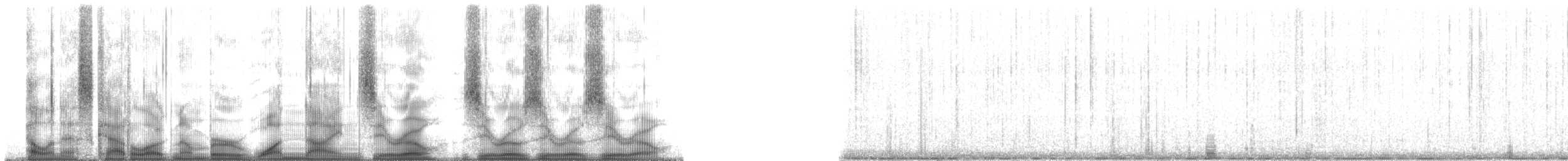 Plainfin Midshipman - ML190000