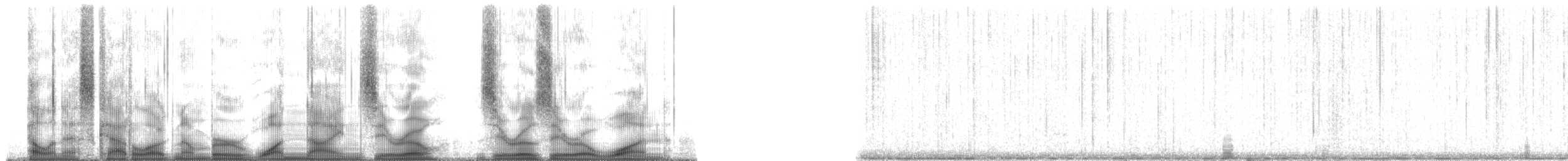 Plainfin Midshipman - ML190001