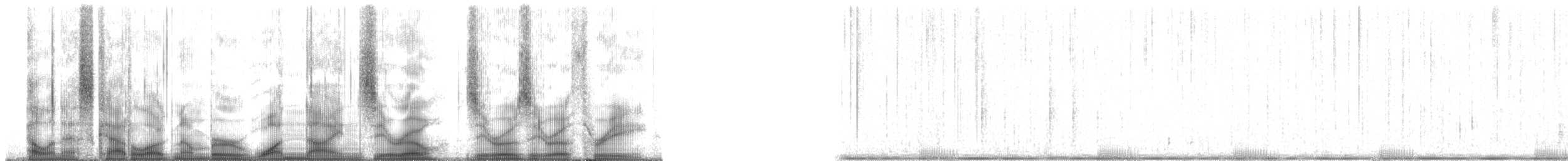 Plainfin Midshipman - ML190003