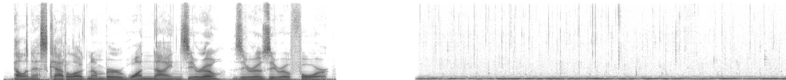 Plainfin Midshipman - ML190004