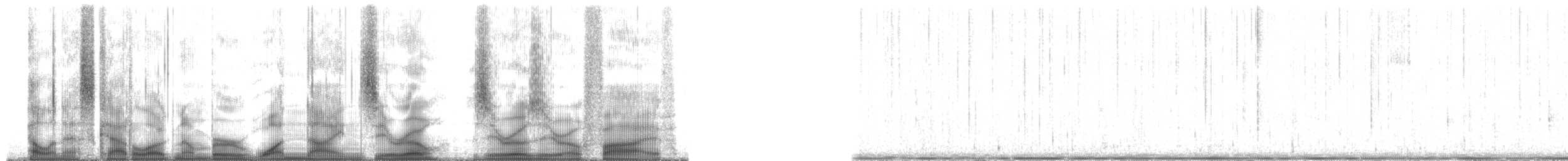 Plainfin Midshipman - ML190005