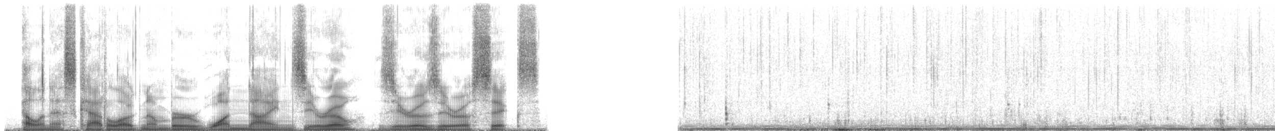 Plainfin Midshipman - ML190006