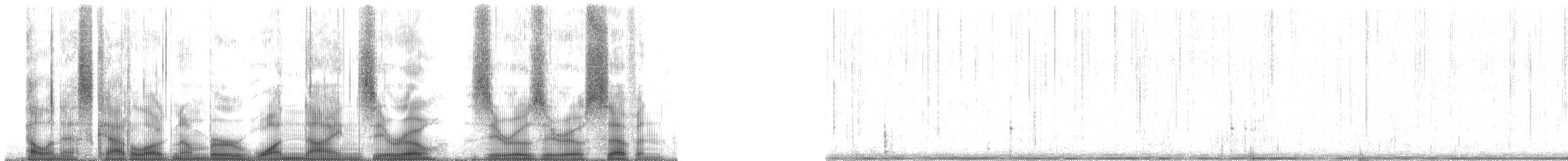 Plainfin Midshipman - ML190007