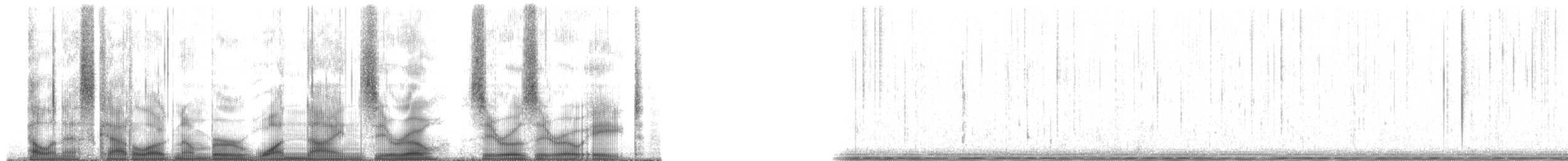 Plainfin Midshipman - ML190008