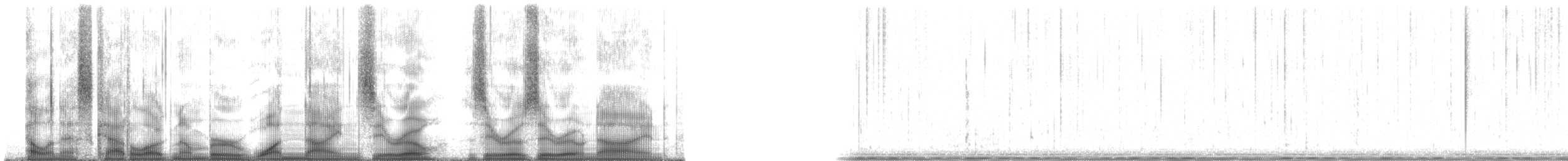 Plainfin Midshipman - ML190009