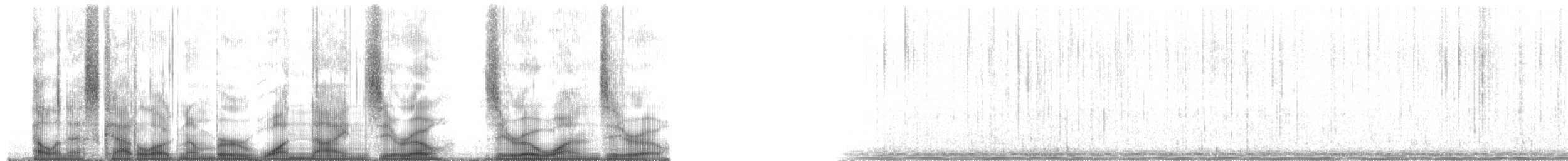 Plainfin Midshipman - ML190010