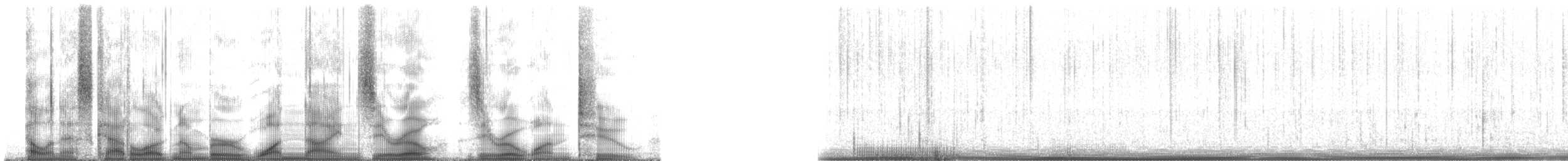 Plainfin Midshipman - ML190012