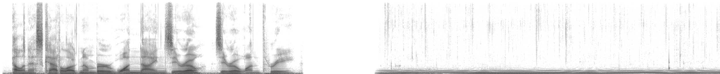 Plainfin Midshipman - ML190013