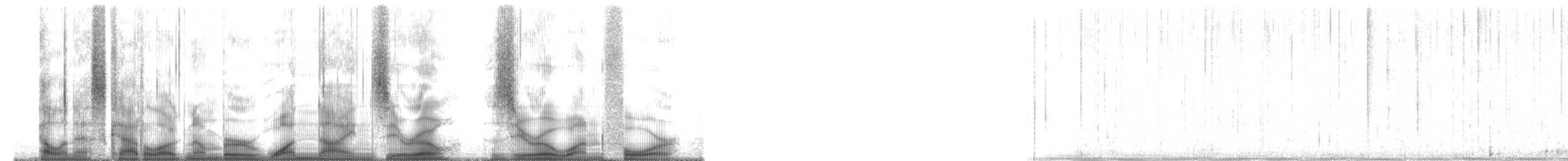 Plainfin Midshipman - ML190014