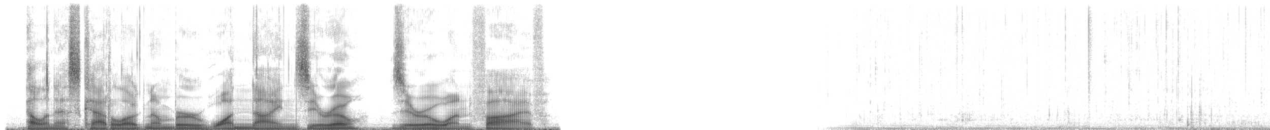 Plainfin Midshipman - ML190015