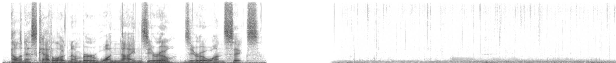 Plainfin Midshipman - ML190016