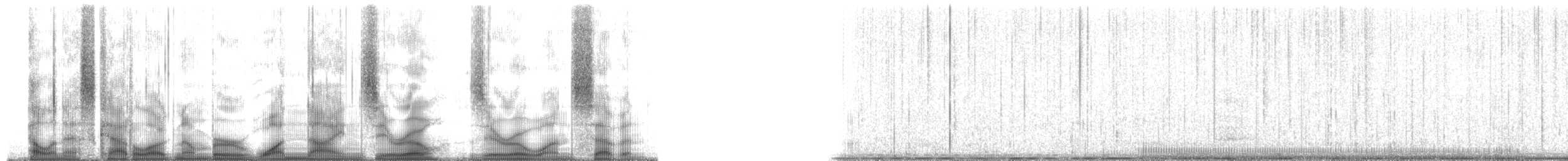 Plainfin Midshipman - ML190017