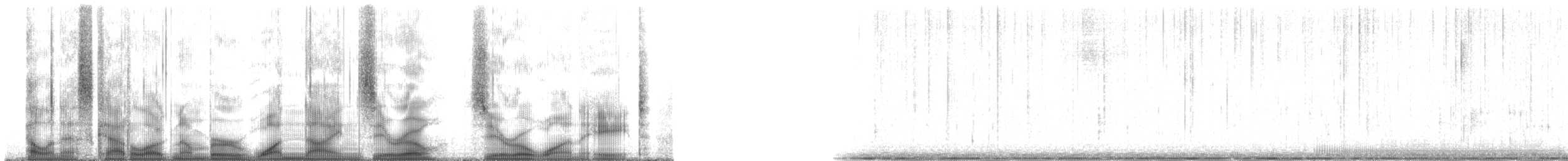 Plainfin Midshipman - ML190018