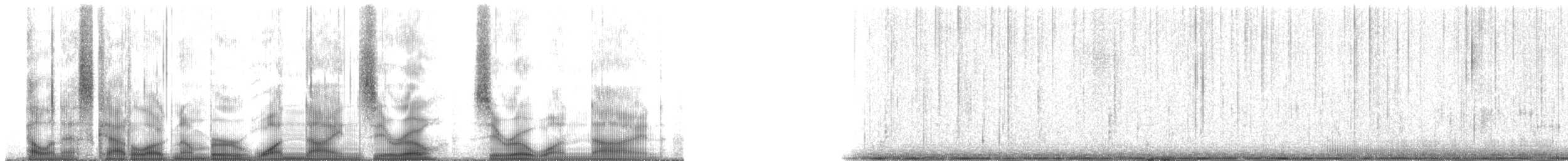 Plainfin Midshipman - ML190019