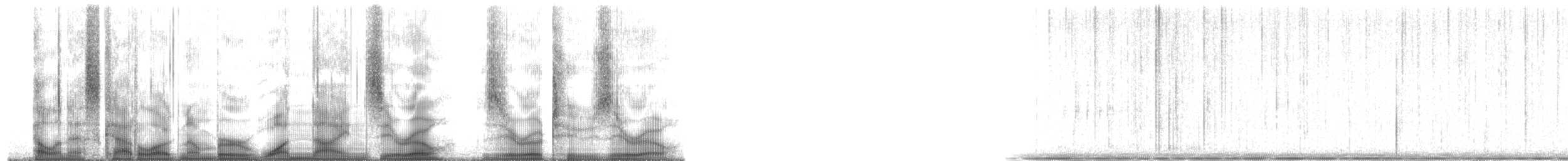 Plainfin Midshipman - ML190020