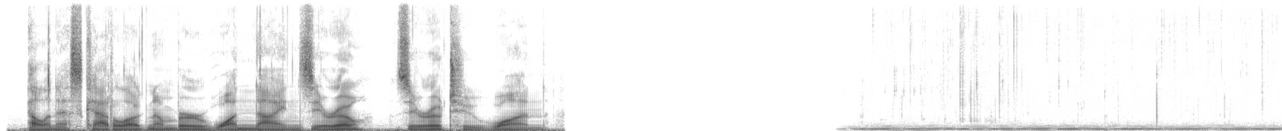 Plainfin Midshipman - ML190021