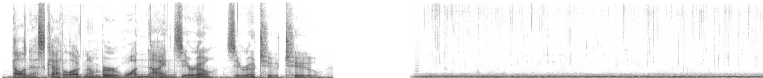 Plainfin Midshipman - ML190022