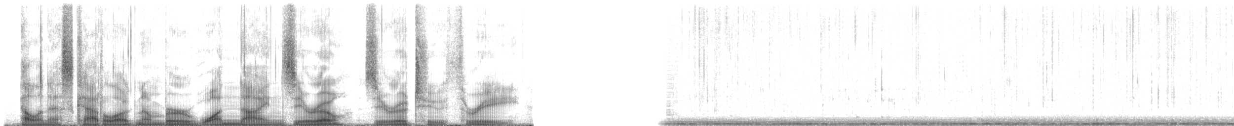 Plainfin Midshipman - ML190023