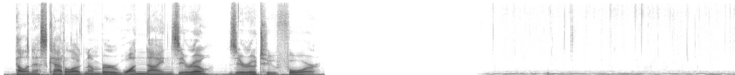 Plainfin Midshipman - ML190024