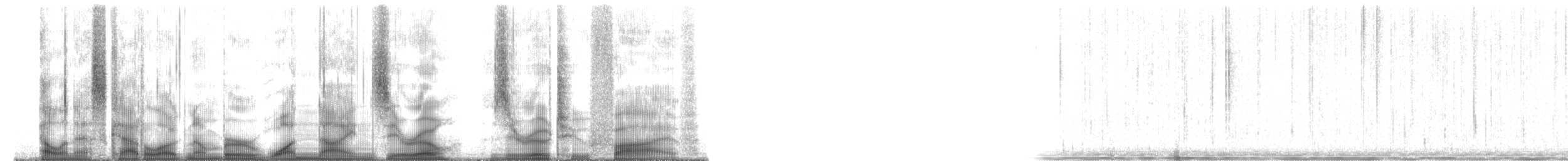 Plainfin Midshipman - ML190025