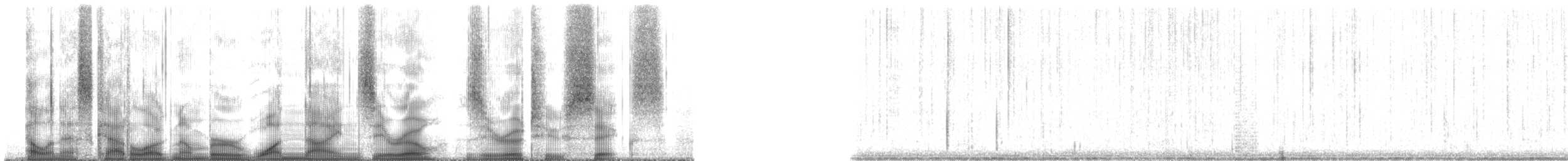 Plainfin Midshipman - ML190026