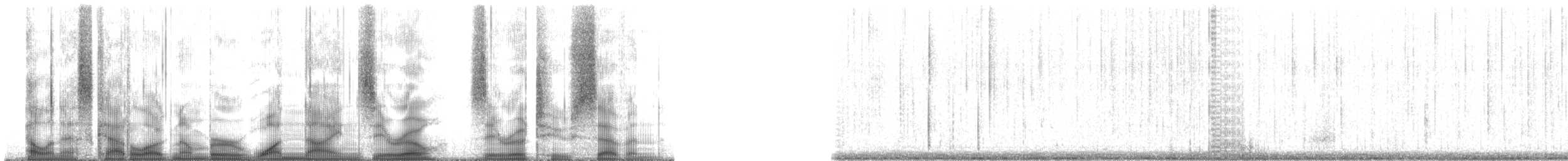 Plainfin Midshipman - ML190027