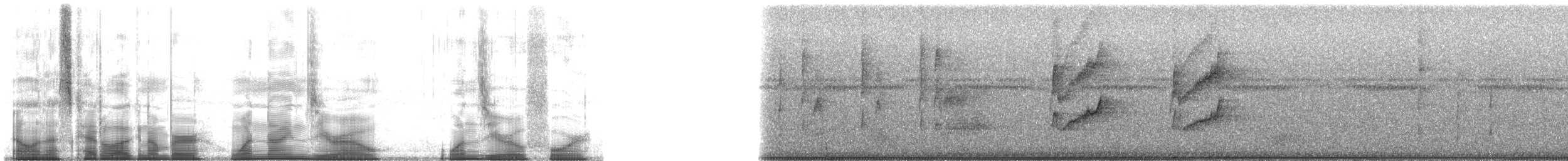 Sarı Telekli Yassıgaga (obscuriceps) - ML190104