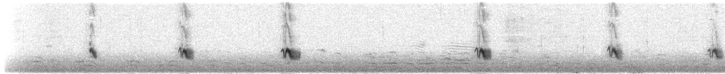 grånakkefjellfink (umbrina) - ML190105421