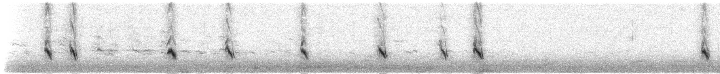 pěnkavice šedohlavá (ssp. umbrina) - ML190105451