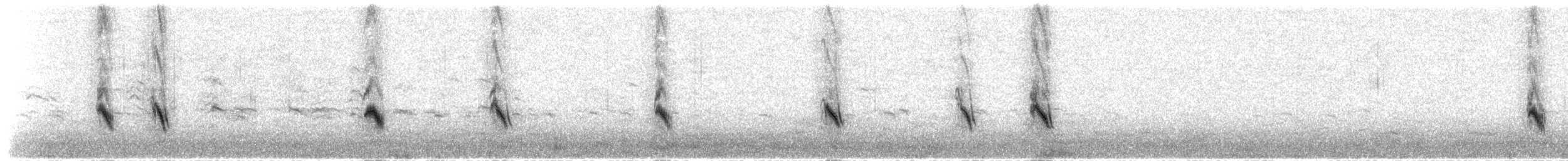 Schwarzstirn-Schneegimpel (umbrina) - ML190105451