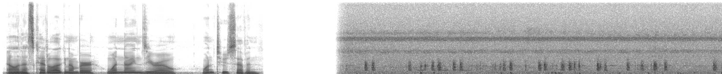 Troglodyte arada (salvini) - ML190127