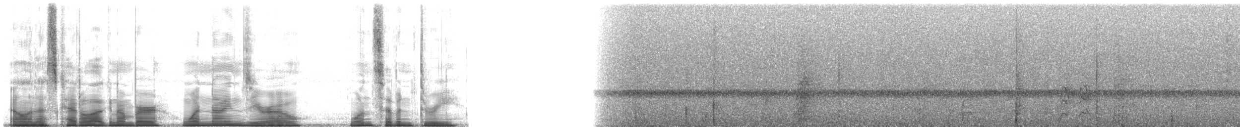 Spot-winged Parrotlet - ML190173