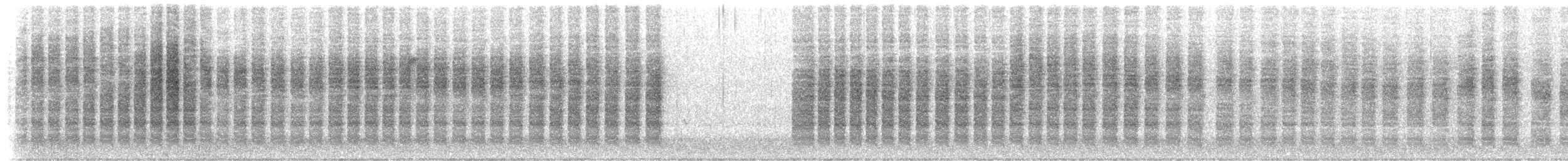 Carolinazaunkönig - ML190201321