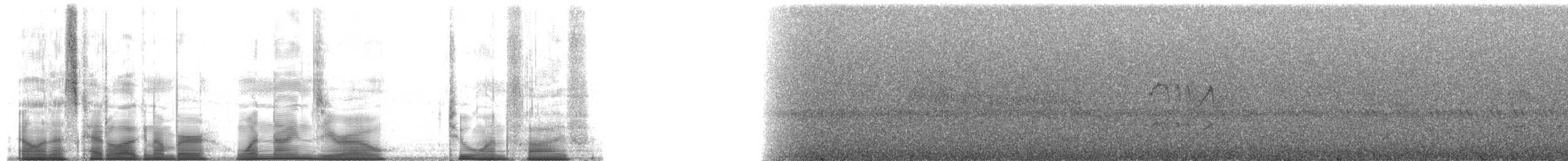 Ласточковый мухолов (ferruginea/sclateri) - ML190215