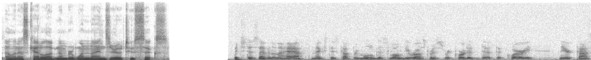 Breitspiegel-Nachtschwalbe (longirostris) - ML19026