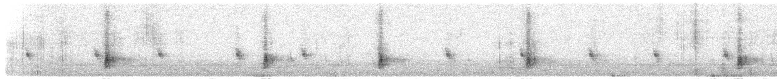 Schwarzstirn-Schneegimpel (umbrina) - ML190264821