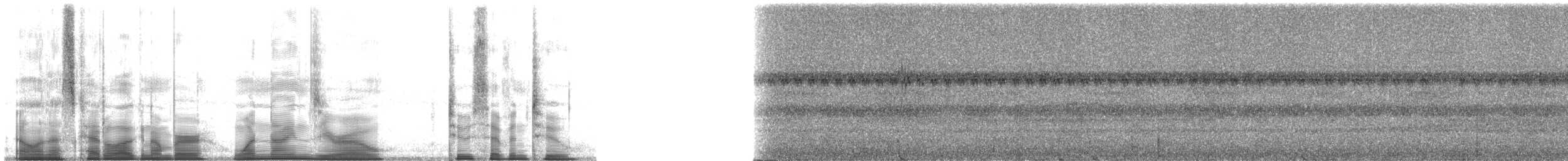 sitronstrupeskjeggfugl (aurantiicollis/purusianus) - ML190272