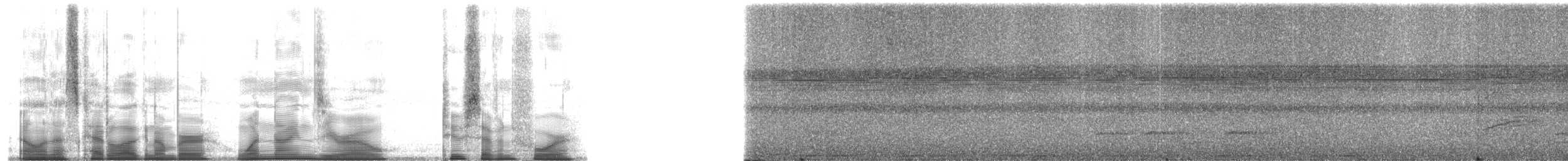 Sarı Telekli Yassıgaga (obscuriceps) - ML190274