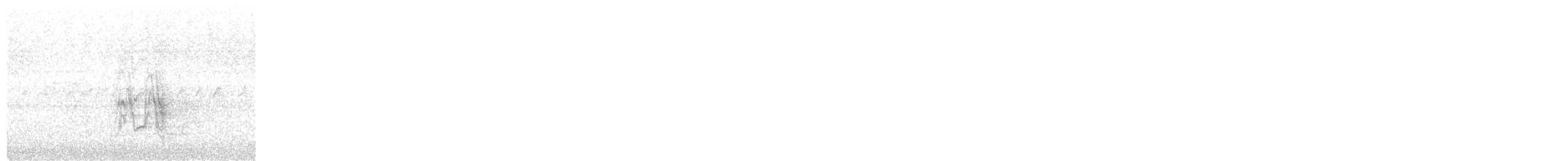 White-bellied Cuckooshrike - ML190276211