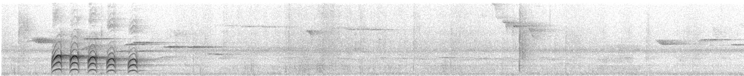 Яструб плямистохвостий - ML190311061