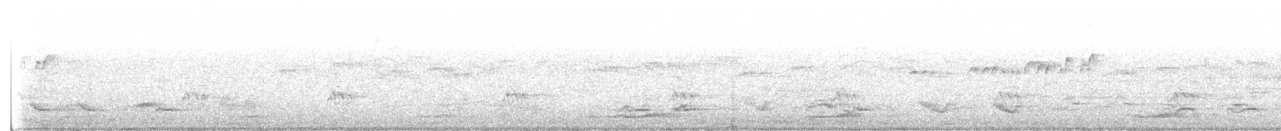 Bändernachtschwalbe - ML190319551