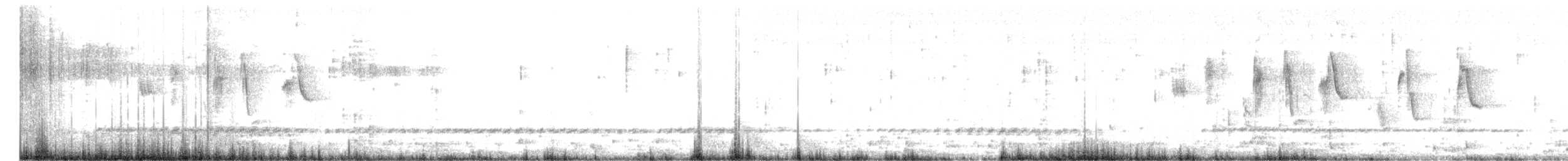 Pipit de Hellmayr - ML190349941