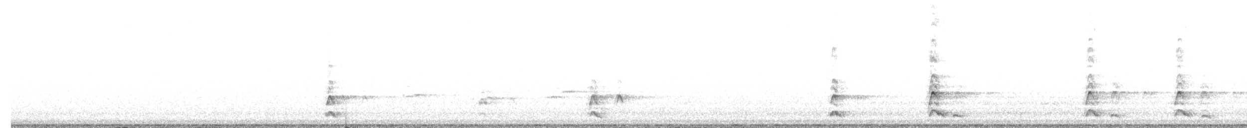 縱紋腹小鴞 - ML190351771
