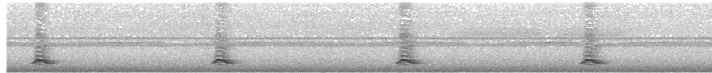 Tinamou à capuchon - ML190353151