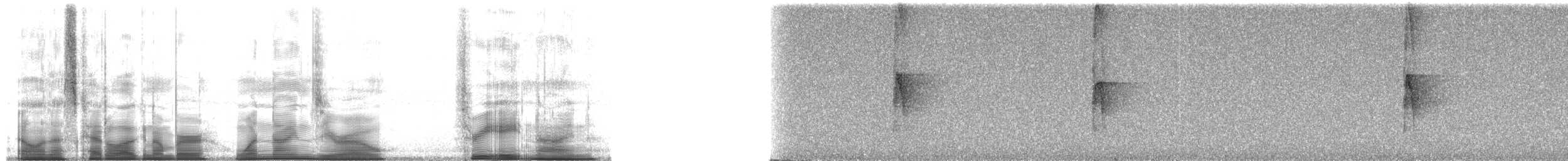 Тёмный тенелюб (peruvianus) - ML190389