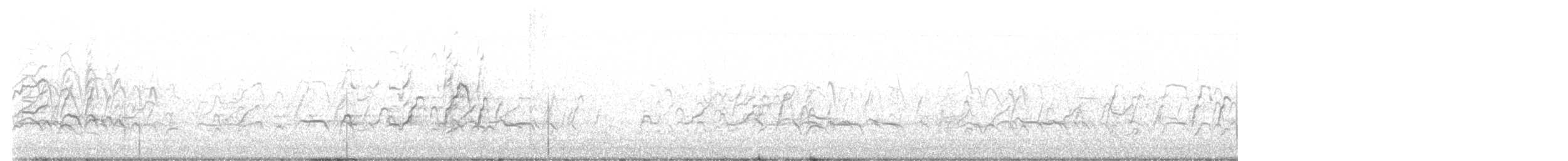 Kara Karınlı Islıkçı Ördek - ML190402961